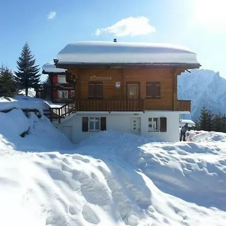 Adlerhorst Apartment *